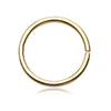 8mm Titanium Double Helix Nose Rings Hinged Segment Ring Ear CartilageTragus Helix Lip Piercing Nose Hoop Studs Punk Jewelry 1PC - Image 9