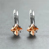 Cute Female Champagne Square Jewelry Crystal Zircon Stone Hoop Earring Rose Gold Color Wedding Earrings For Women - Image 13