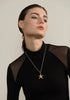 316L Stainless Steel Starfish Pendant Necklace Statement Gold Pvd Plated Individualistic Holiday Jewelry - Image 11