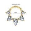 Titanium 16G Pear CZ Hinged Clicker Segment Hoop Ring 8mm/10mm Hinged Daith Clicker Septum Nose Jewelry - Image 14