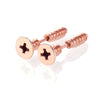 Stainless Steel Screw Stud Earrings in Colorful Finishes 1 Pair - Image 11