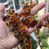 Natural Amber Necklace for Women Gift Europe Baltic Plant Beads Gogerous Jewelry Supplier - Image 4