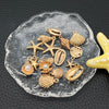 16pcs KC Gold Ocean Series Charms (Shells/Starfish 1pc per Design) Ideal for Crafting Necklaces, Bracelets Earrings" - Image 5