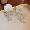 White Bowknot Imitation Pearls Tassel Dangle Earrings Women Temperament Versatile Earring Elegant Jewelry K - Image 13