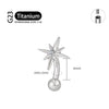 Titanium 16G CZ North Star Rook Earring 6mm 8mm 10mm 12mm Curved Barbell Eyebrow Cartilage Tragus Labret Piercing - Image 14