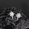 1Pair Zircon Star Magnet Ear Clip Stud Earrings for Men Women Couple Without Ear Holes Clip Earrings Party Accessories Jewelry - Image 5
