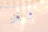 silver needle Earrings Jewelry Double Row Crystal Zircon Round Stud - Image 10