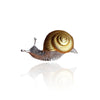 1Pair Vintage Two Tone Snail Stud Earrings Insect Earrings for Men Women Temperament Ear Jewelry Accessories Gifts - Image 5