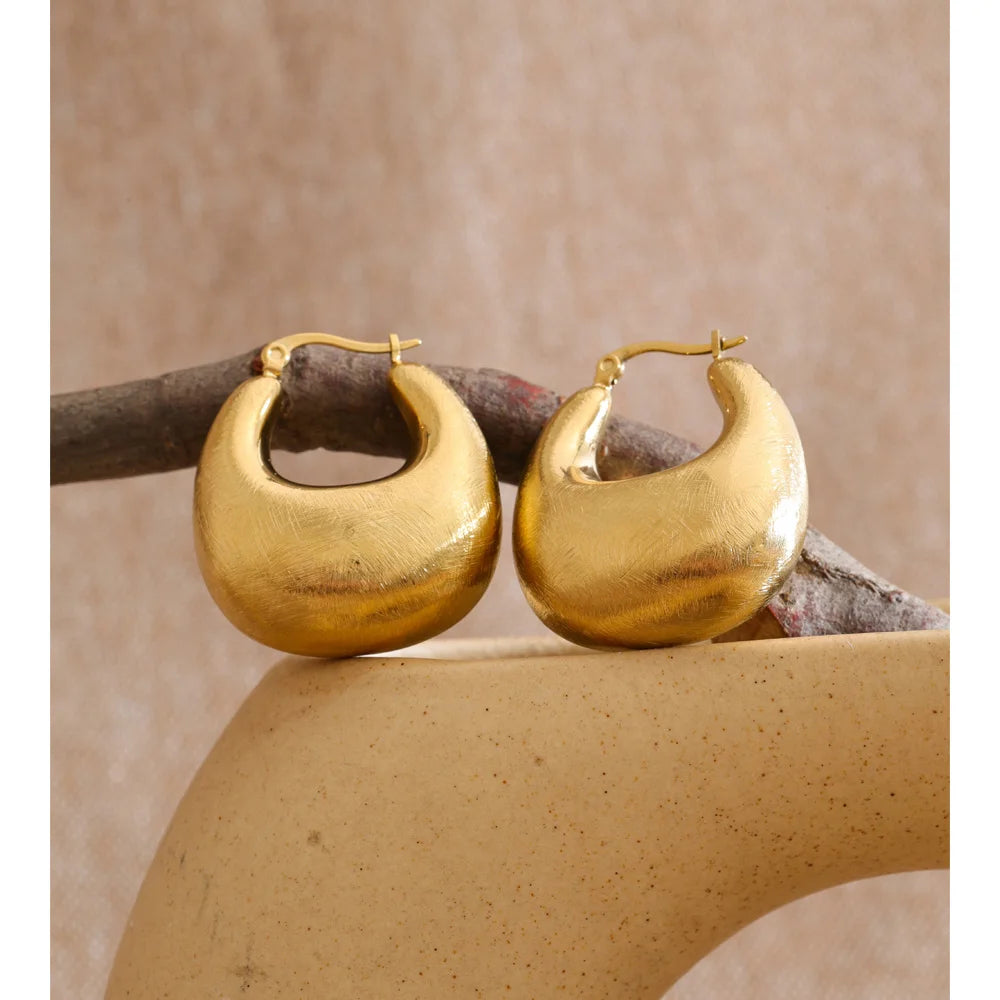 Personality Stainless Steel Chunky Hoop Earrings for Women Gold Pvd Plated Geometric Daily Casual Jewelry - Image 1