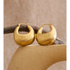 Personality Stainless Steel Chunky Hoop Earrings for Women Gold Pvd Plated Geometric Daily Casual Jewelry - Image 1