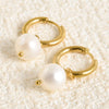 Pearl Dangle Earrings For Women Men Accessories Stainless Steel Hoop Earring Jewelry Piercing Starfish Turtle - Image 27
