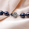 8-9 mm Freshwater Black Pearl Jewelry Necklace Silver Flower Buckle Jewelry For Women - Image 4