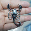 selling scorpion brooches pins coat accessories - Image 10