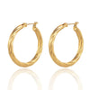 Stainless Steel Plated with Gold Plated Twist Hoop Earrings for Women, Simple Ear Ring Jewelry - Image 1