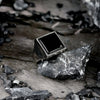 Tiger Eye Punk Rock Stainless Steel Signet Ring For Men Hip Hop Party Jewelry Male Wedding Anel - Image 2