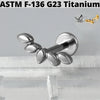 Cz Flower Titanium Cartilage Earrings Stud 16G Internally Threaded Sun Helix Ear Tragus Piercing Jewelry - Image 15