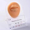 12PCS/Card Fake Cheater Non Pierced Magnet Ear Tragus Cartilage Lip Labret Stud Nose Ring Jewelry Magnetic Earring - Image 5