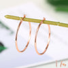 Big Hoop Earrings For Women Minimalist Circle Classic Cartilage Earring Rose Gold Color Hoops Jewelry - Image 1