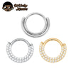 Titanium Clicker Septum Nose Ring Sector CZ Daith Earring Hoop Front Facing Hinged Segment Piercing Body Jewelry - Image 1