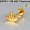 1PC Moon Titanium Cartilage Earrings Stud 16G Internally Threaded Helix Heart Ear Tragus Piercing Body Jewelry - Image 34