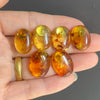 Natural Floral Amber Earrings for Girls Chic Sweet Stud Earring Lady Baltic Oval Amber Jewelry Gift - Image 4
