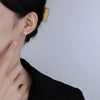 Silver Flash Diamond Small Snake Earrings Men And Women Personality Unique Earrings Party Jewelry - Image 3