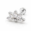 1Piece 16G Titanium Steel CZ Leaf Bee Piercing Lip Labre Studs Tragus Helix Cartilage Couch Lobe Earrings Body Jewelry For Women - Image 30