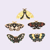Cartoon Animal Insect Enamel Pins Cute Moth Butterfly Flower Leaf Pattern Badges Lapel Clothes Brooches Jewelry Gifts - Image 1