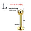 1PC ASTM Titanium Tragus Piercings Labret Stud Lip Rings Helix Piercing Ear Oreja Cartilage Earring 14G 16G Body Jewelry - Image 17