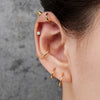 Titanium Hinged Hoop Nose Rings 20G 18G 16G Septum Ring Body Piercing Jewelry Helix Cartilage Rook Earring - Image 6