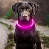 USB Rechargeable Fiber Optic Collar Pet Dog LED Light Collar Luminous Anti-Lost Dog Collar USB Rechargeable Dog Necklace Collar - Image 3