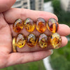 Natural Floral Amber Earrings for Girls Chic Sweet Stud Earring Lady Baltic Oval Amber Jewelry Gift - Image 5