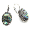 Colorful Shell Various Shapes Owl Women Hollow Zinc Alloy Antique Silver Plated Retro Drop Earring Jewelry Crafts - Image 1