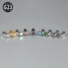 1PC Titanium Zirconia Cute Cat Rook Helix Stud Tragus Cartilage Earrings Animal Lobe Labret Lip Piercing Jewelry 16G - Image 6