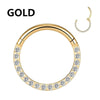 Stainless Stee Hinged Segment Hoop CZ Stone Nose Ring Nipple Ear Cartilage Tragus Helix Lip Earring Piercing Body Jewelry - Image 8