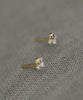 Silver Plated Gold Mini Fish Tail Earrings for Women Korean Simple Sweet Daily Jewelry Wearing - Image 8