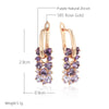 Shiny Purple Zircon Drop Earrings For Women Rose Gold Color Bride Wedding Jewelry Crystal Gift - Image 2