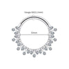Titanium 16G CZ Hinged Clicker Segment Hoop Ring Sunburst CZ Daith Earring Septem Nose Piercing Jewelry - Image 8