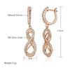 Shiny Zircon Earrings For Women Rose Gold Color Möbius Loop Jewelry Gift - Image 6