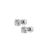 Cute Cubic Zirconia Screw Back Stud Earrings 316L Stainless Steel 20G - Image 6