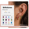 Stainless Steel Birthstone Earrings Minimalist Huggie Hoop Earrings for Women Tiny Round Circle Unisex - Image 1