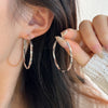 Metal Punk Style Oversized Large Hoop Earrings Twisted Big Circle Round Loop Earrings for Women Exaggerate Party Jewelry Gifts - Image 9
