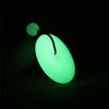 30mm Round Donut Luminous Stone Pendant Lucky Coin Amulet Protection Charm Adjustable Rope Necklace Glow in The Dark Jewelry - Image 7