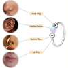 Steel Nose Rings Hoop 18g 20g Opal Septum Rings 8mm/10mm Nose Piercing Jewelry Cartilage Earring for Women - Image 2