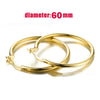 Big Hoop Earrings For Women Minimalist Circle Classic Cartilage Earring Rose Gold Color Hoops Jewelry - Image 16