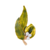 Temperament Leaf Brooch Shiny Rhinestone Color Pin Maple Leaf Ginkgo Biloba Dress Men's Women's Accessories Jewelry Gift - Image 4