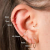 2/6PCS Seamless 316L Stainless Steel Classic Nose Rings for Men and Women Hoop Earrings Septum Helix Tragus Ear Piercing Jewelry - Image 1