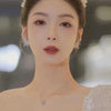 Silver Color Big Plant Stud Earrings with Bling Zircon Stone for Women Jewelry Korean Earring Gift - Image 11
