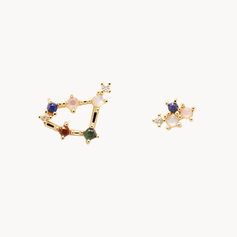 Silver Twelve Constellation Earrings Distinctive Simple Modeling Women Earrings Birthday Gift Jewelry - Image 1