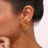 Street Exaggerated Ray Fan-shaped Earrings Unique 316L Stainless Steel Jewelry Gold Plated Women's Earrings Gift - Image 4